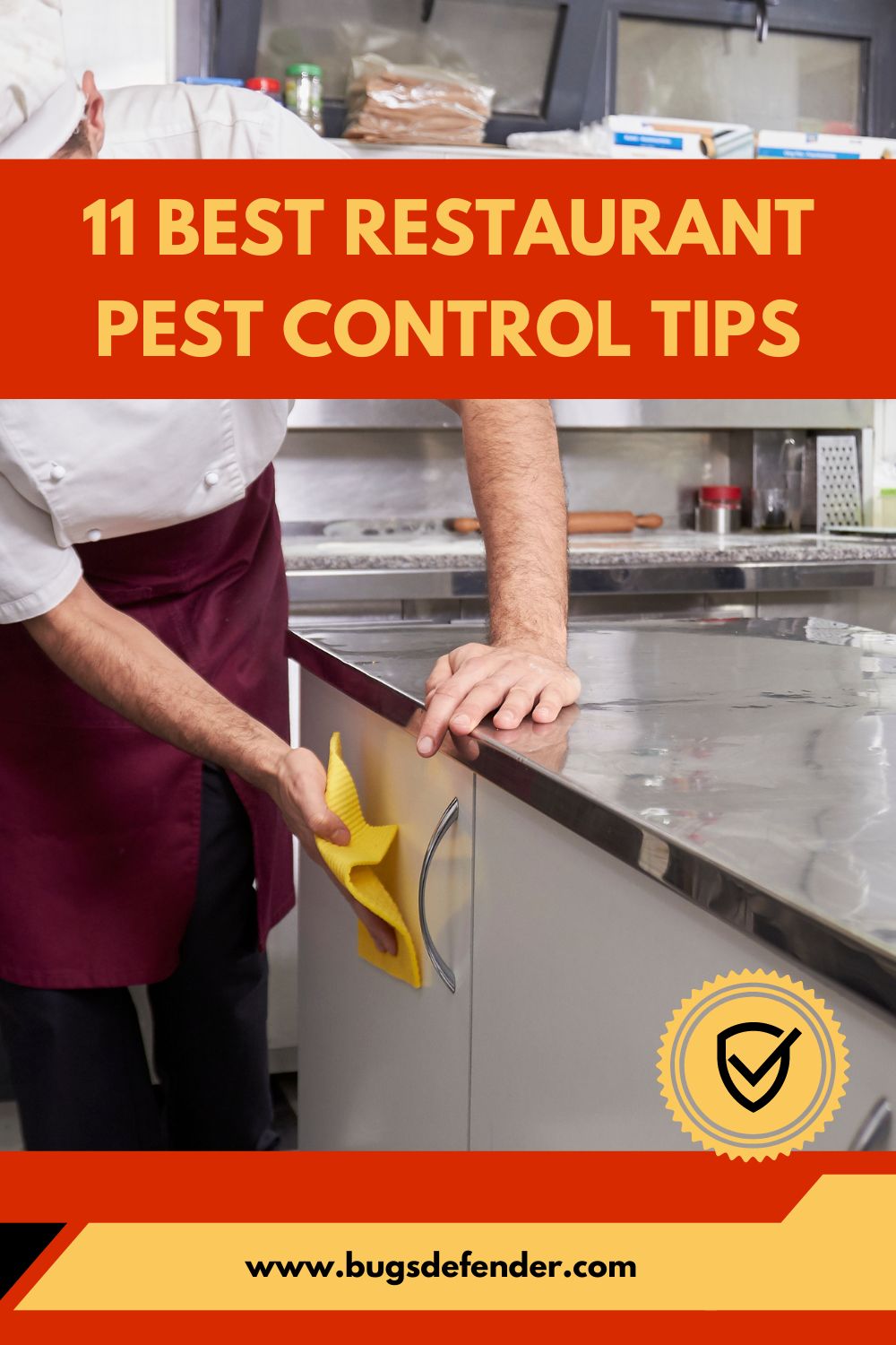 11 Best Restaurant Pest Control Tips pin1