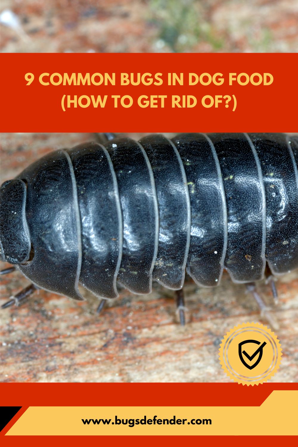 9 Common Bugs in Dog Food (How to Get Rid of) pin1
