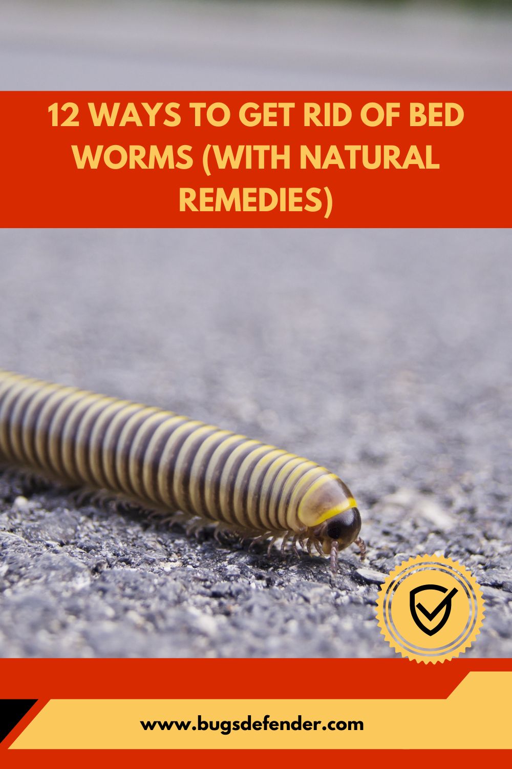 12 Ways to Get Rid of Bed Worms pin1