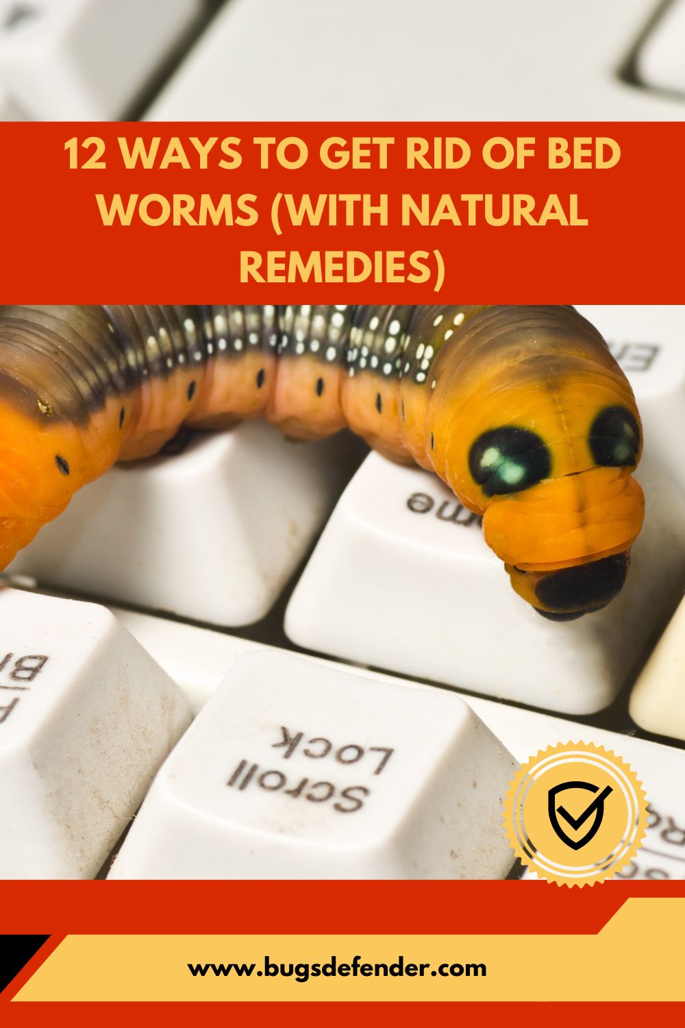 12 Ways to Get Rid of Bed Worms pin2