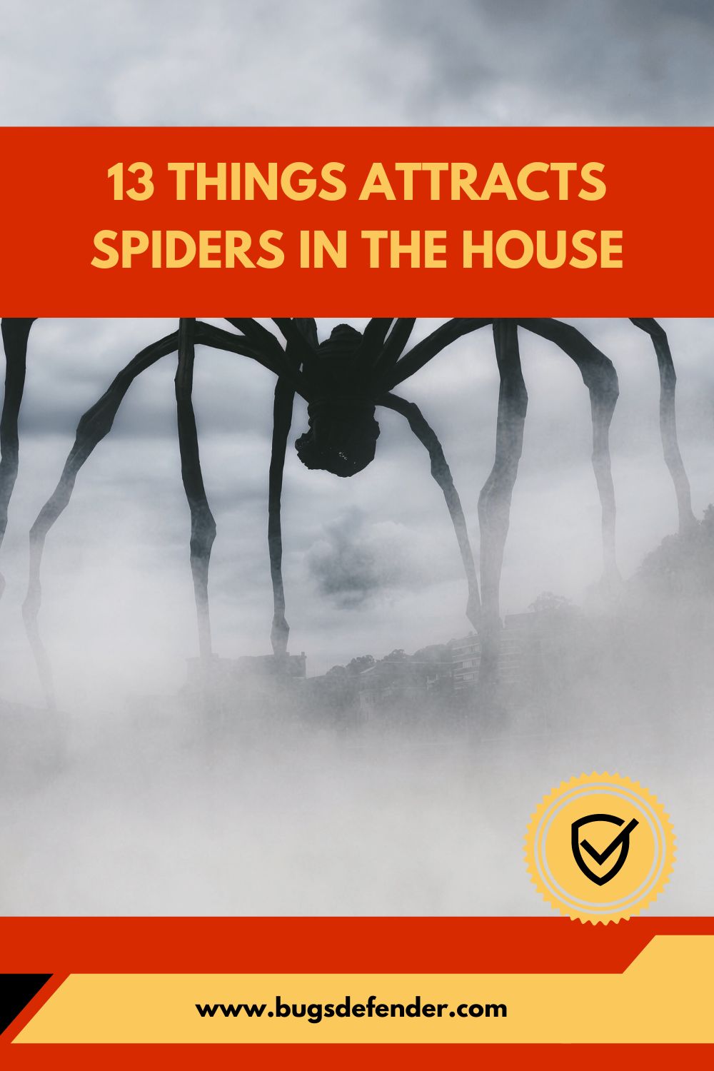13 Things Attracts Spiders in the House pin 1