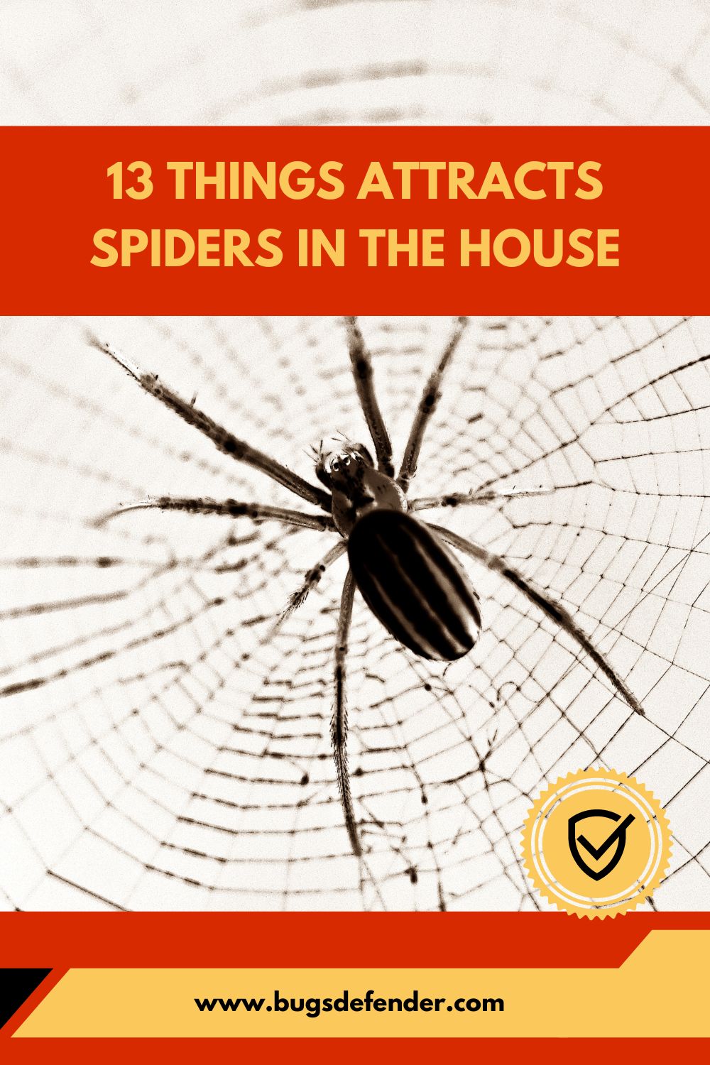 13 Things Attracts Spiders in the House pin 2