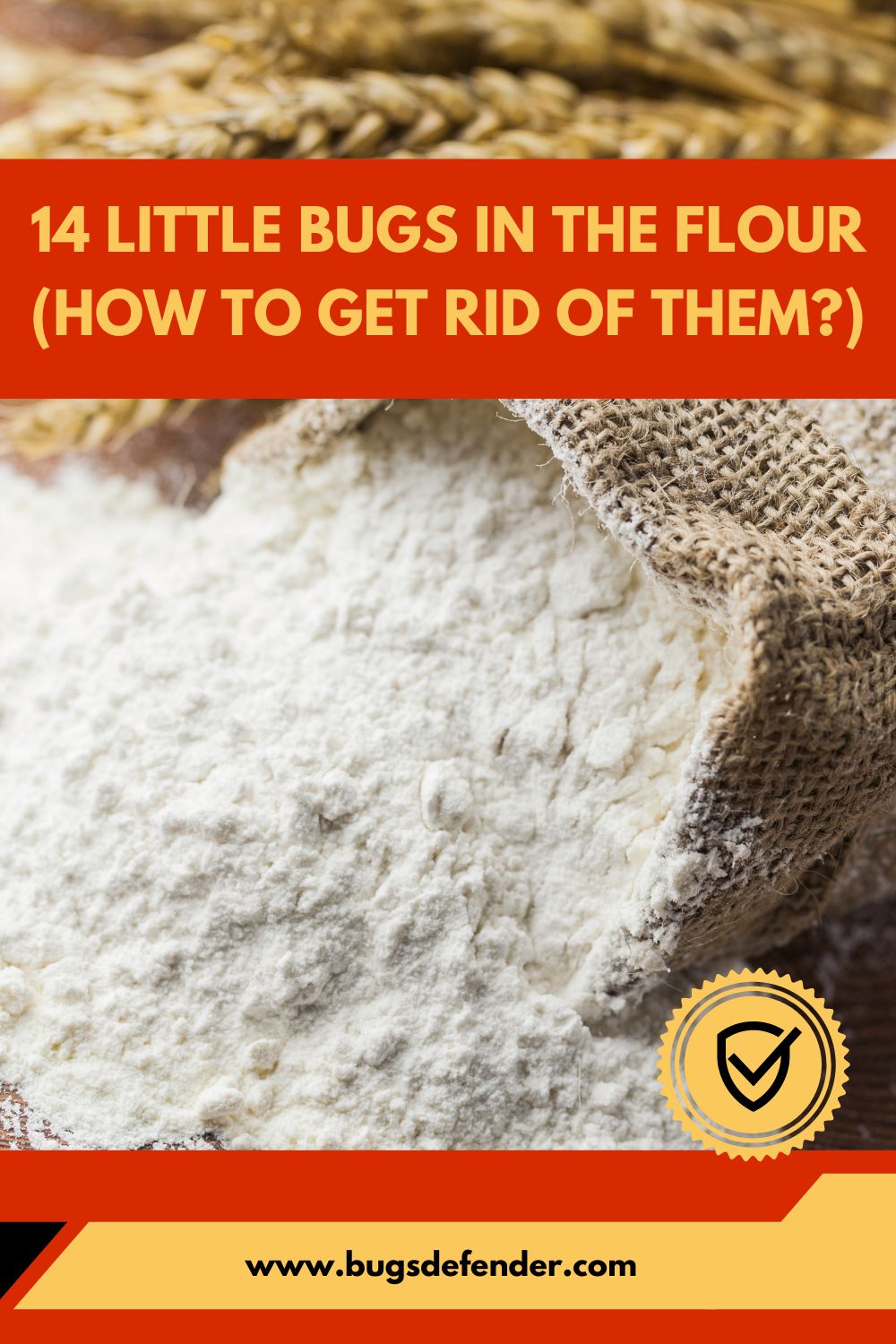 14 Little Bugs in the Flour (How to Get Rid of Them?) pin1