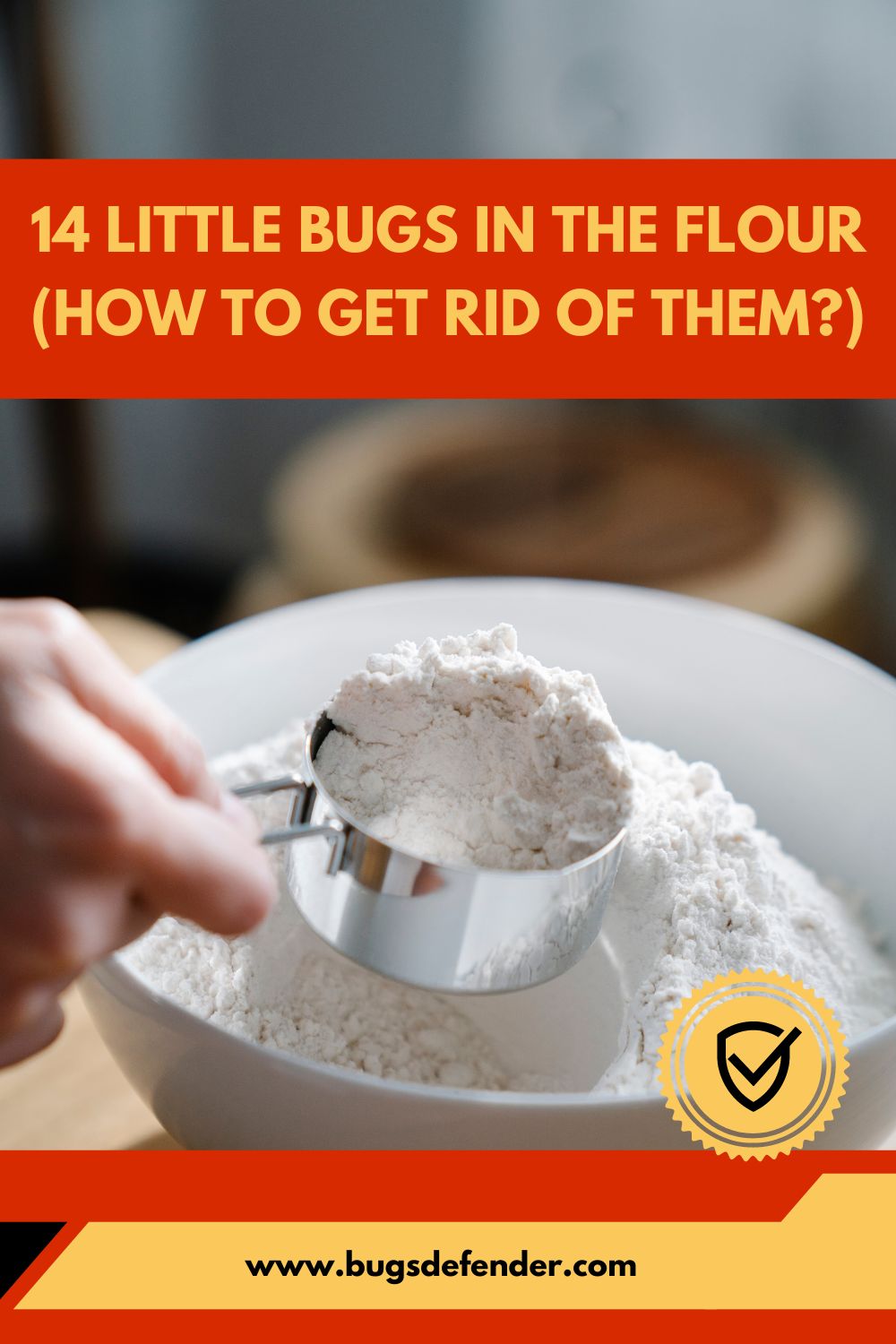 14 Little Bugs in the Flour (How to Get Rid of Them?) pin2