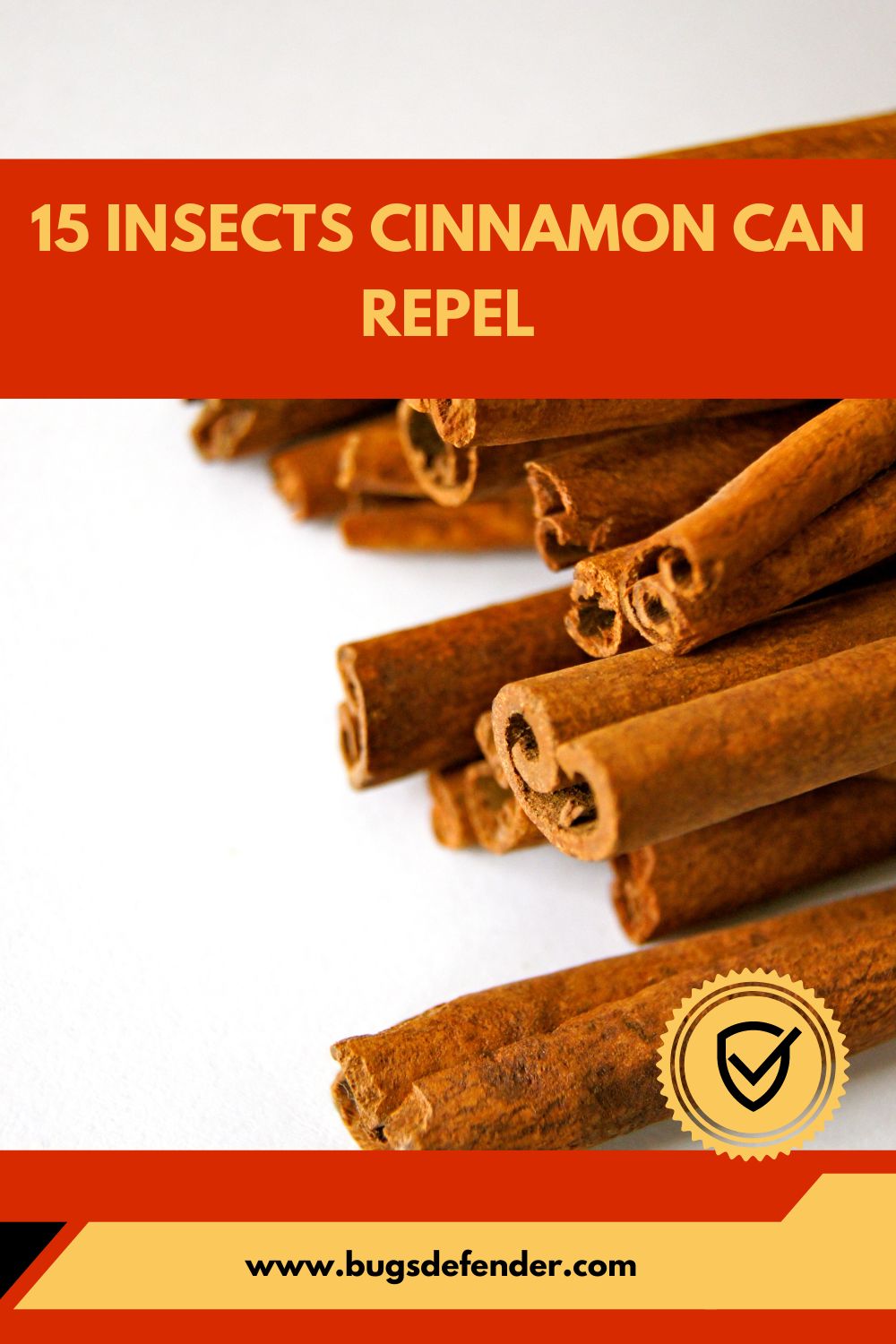 15 Insects Cinnamon can Repel 1