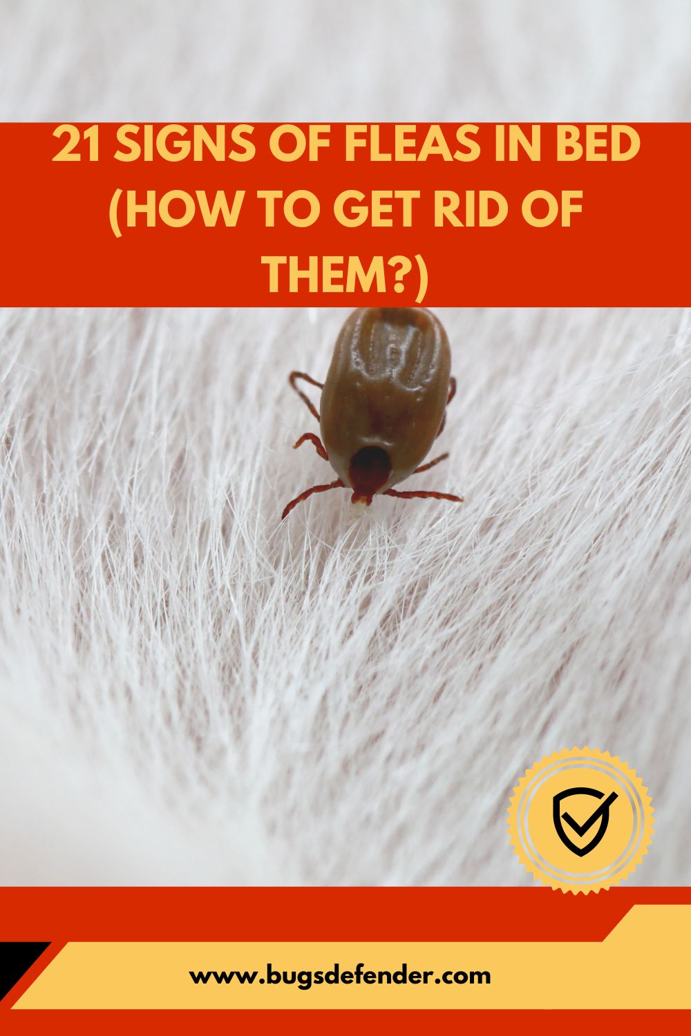 21 Signs of Fleas in Bed (How to Get Rid of Them?) pin 1