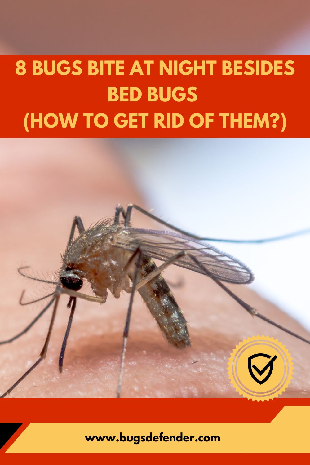 8 Bugs Bite at Night Besides Bed Bugs pin1