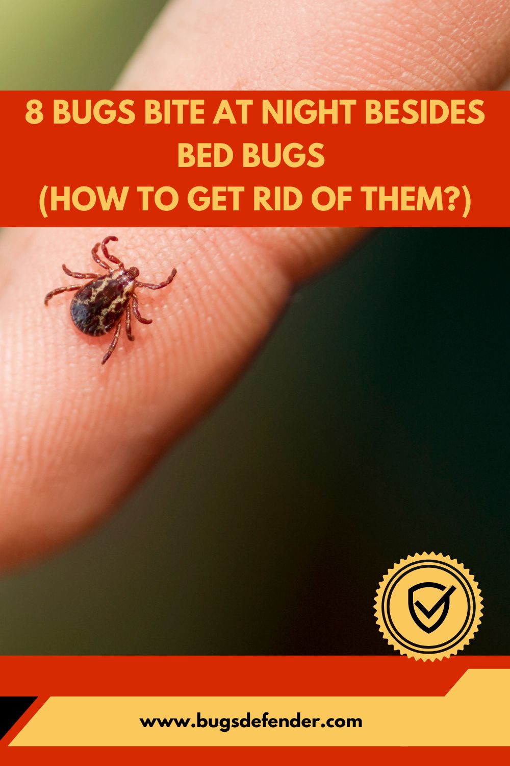 8 Bugs Bite at Night Besides Bed Bugs pin2