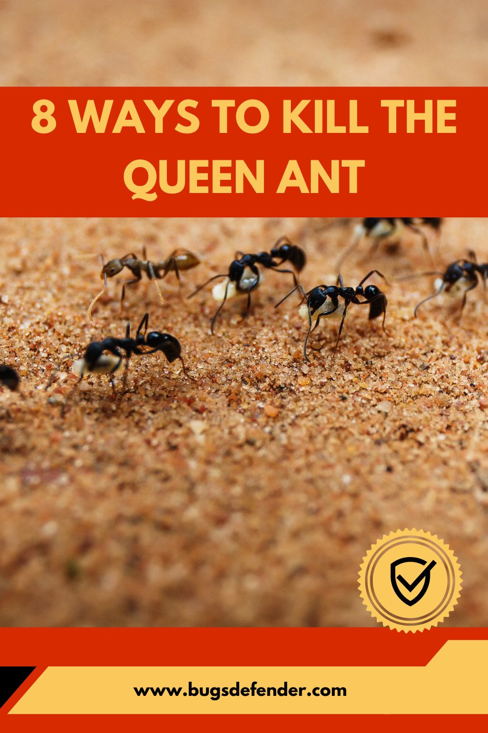 8 Ways to Kill the Queen Ant pin1