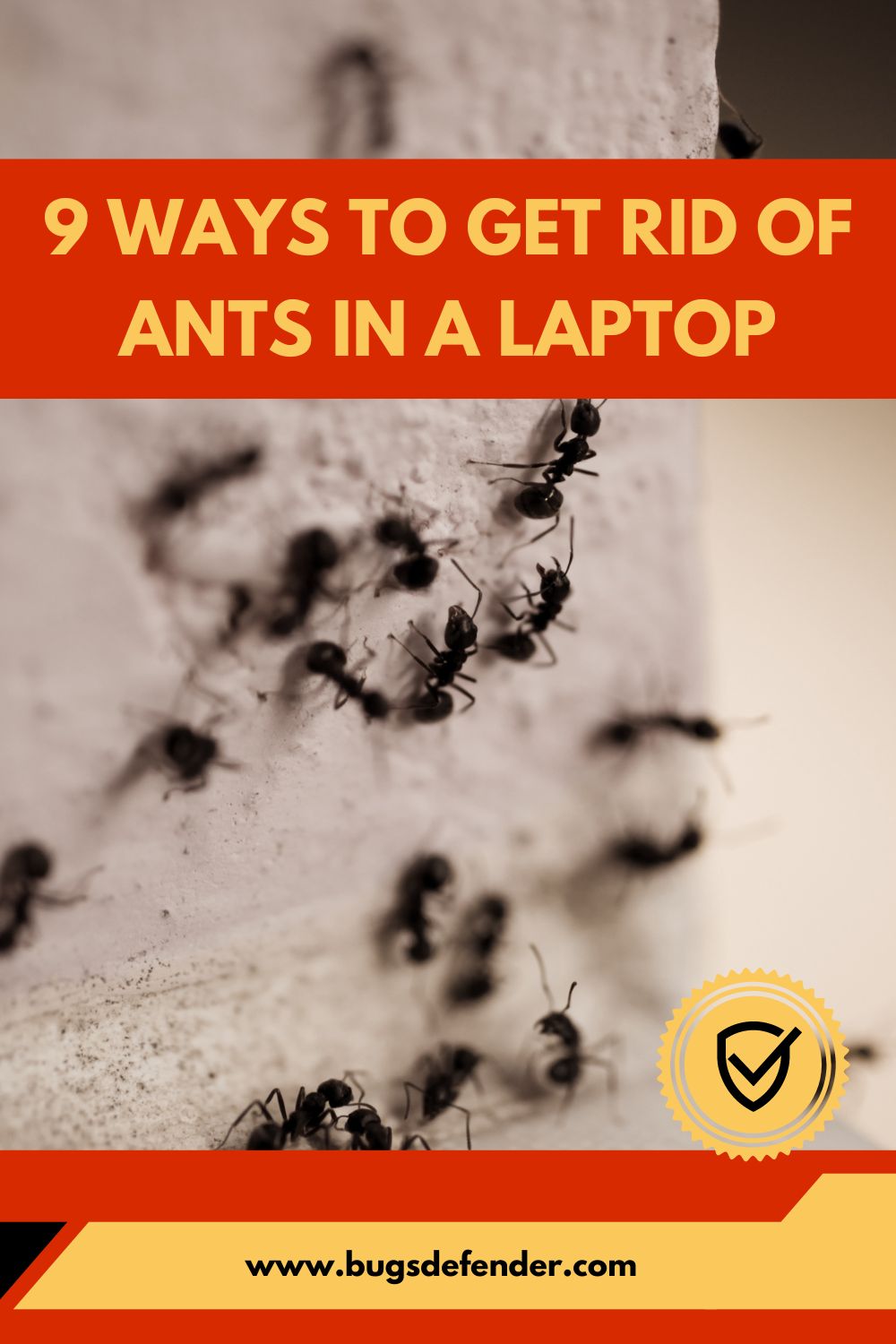 9 Ways to Get Rid of Ants in a Laptop pin1