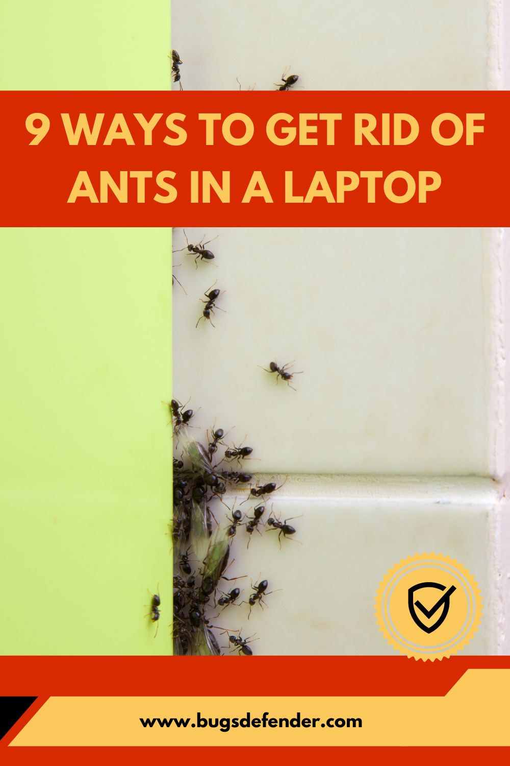 9 Ways to Get Rid of Ants in a Laptop pin2
