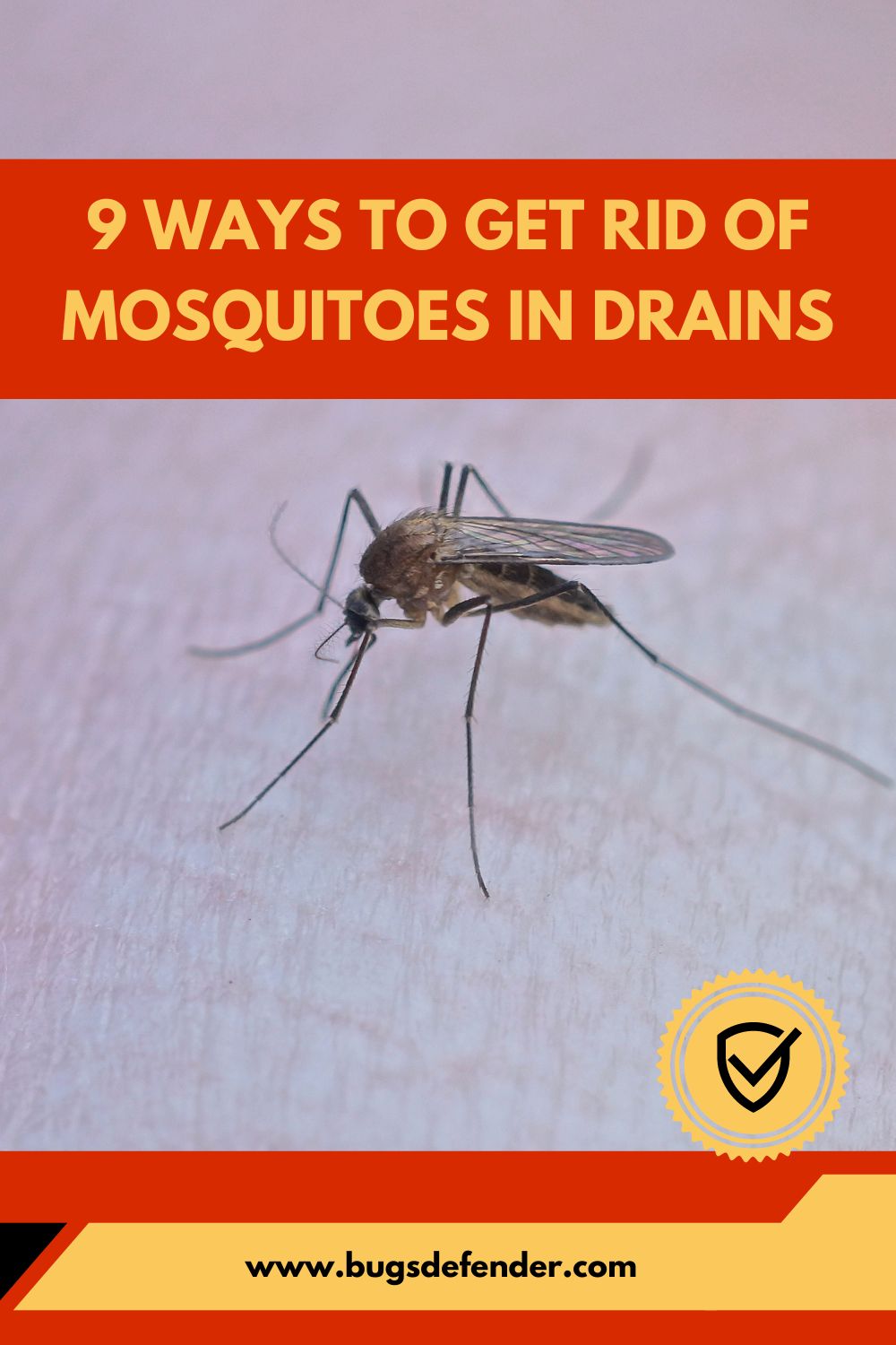 9 Ways to Get Rid of Mosquitoes in Drains pin1