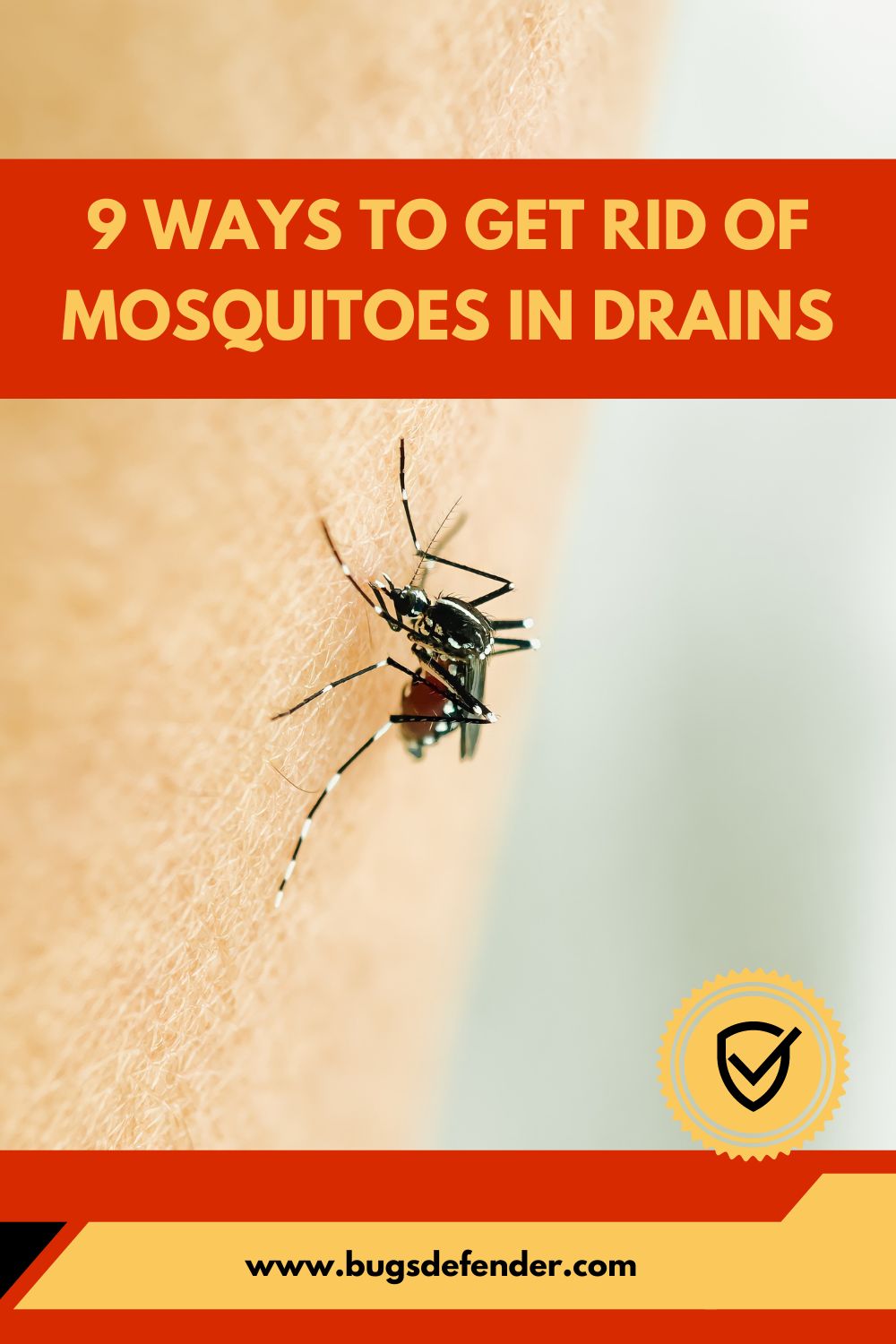9 Ways to Get Rid of Mosquitoes in Drains pin2