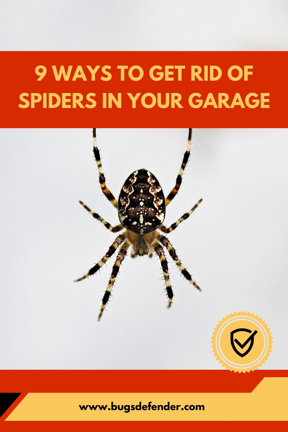 9 Ways to Get Rid of Spiders in Your Garage pin 1