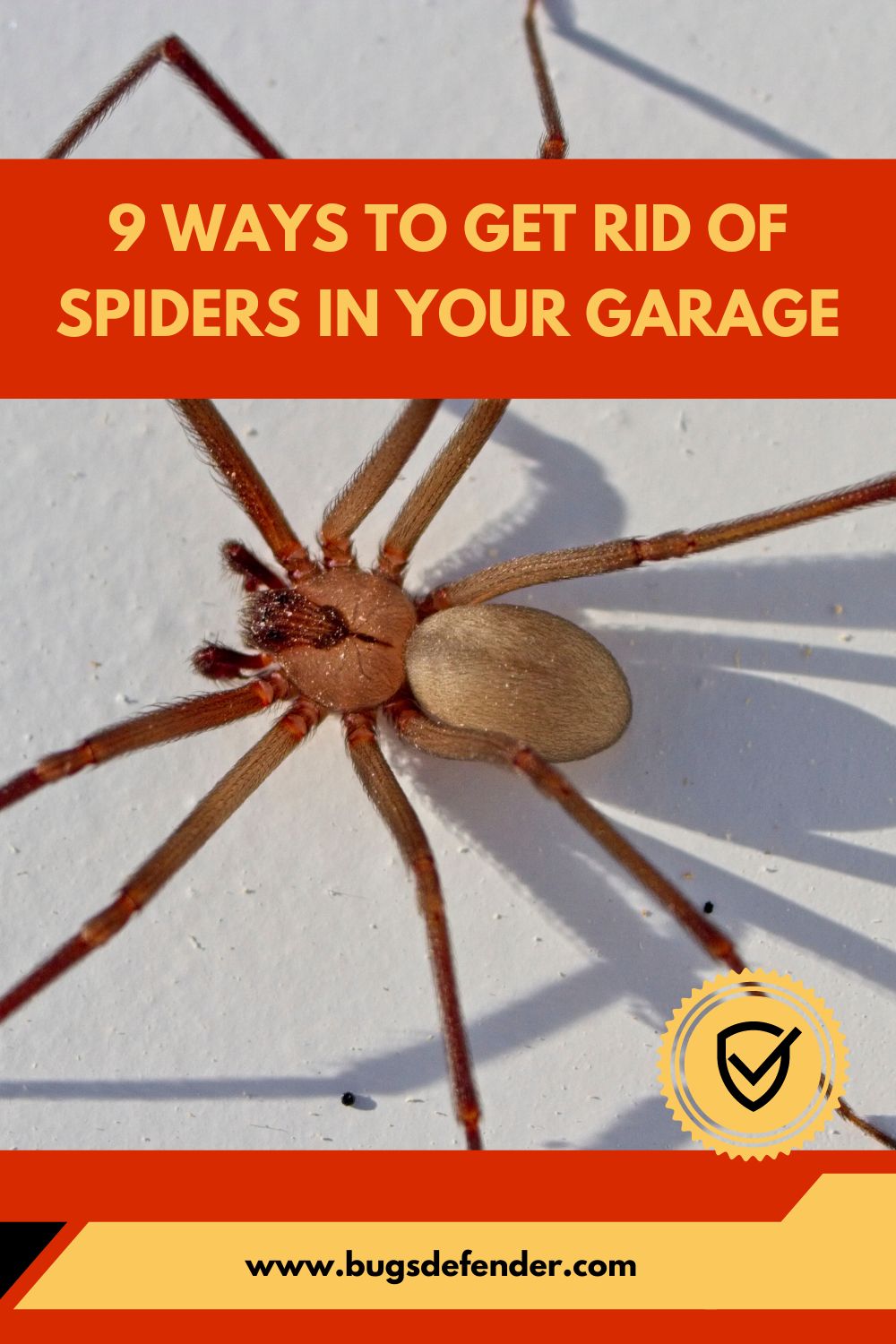 9 Ways to Get Rid of Spiders in Your Garage pin 2