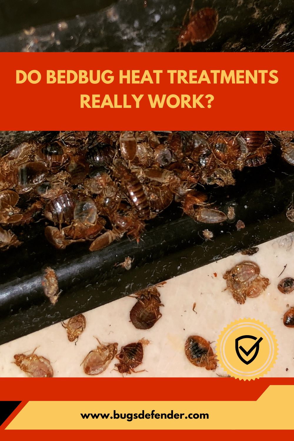 Do Bedbug Heat Treatments Really Work pin2