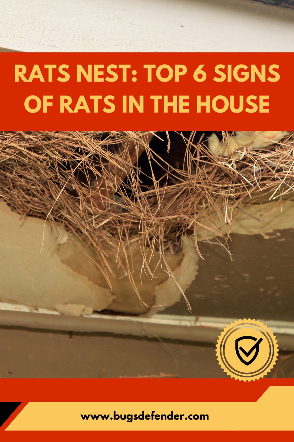 Rats Nest Top 6 Signs of Rats In The House pin1