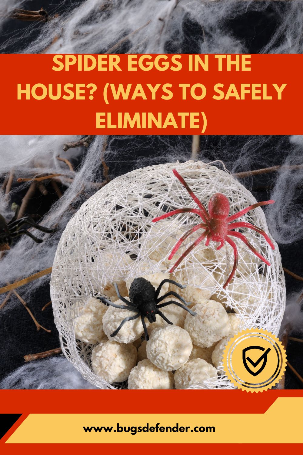 Spider Eggs in the House? (Ways to Safely Eliminate) pin 2