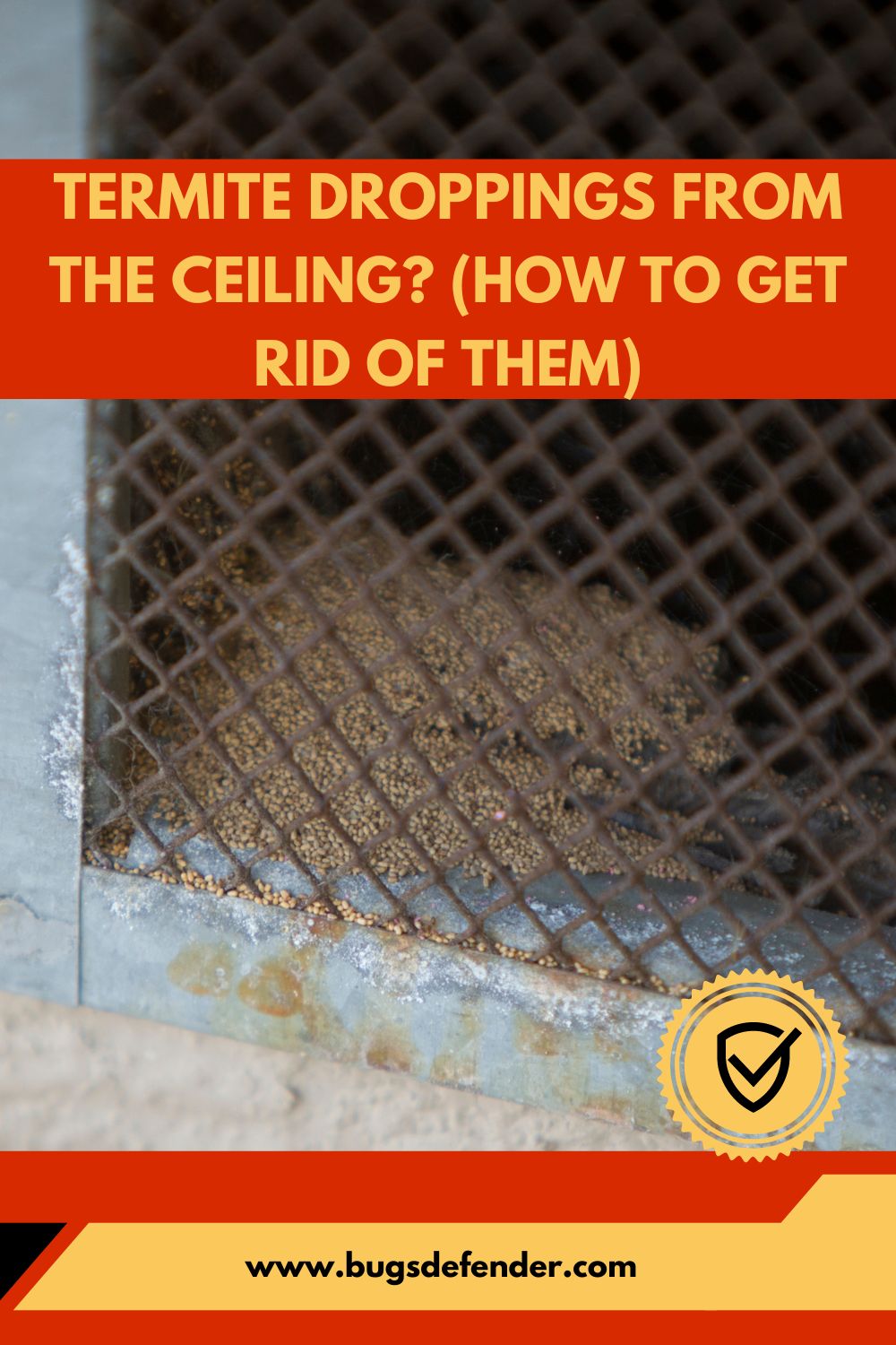 Termite Droppings from the Ceiling? (How to Get Rid of Them) pin1
