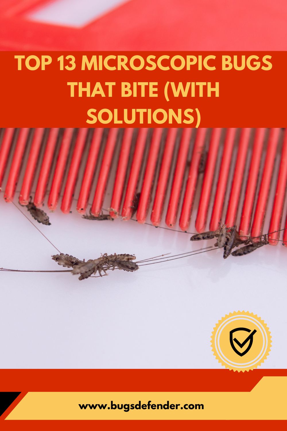 Top 13 Microscopic Bugs That Bite (with Solutions) pin1