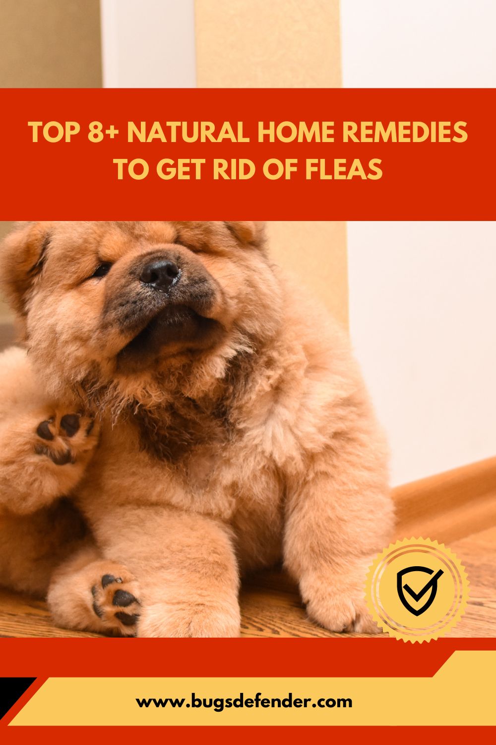 Top 8+ Natural Home Remedies to Get Rid of Fleas pin2