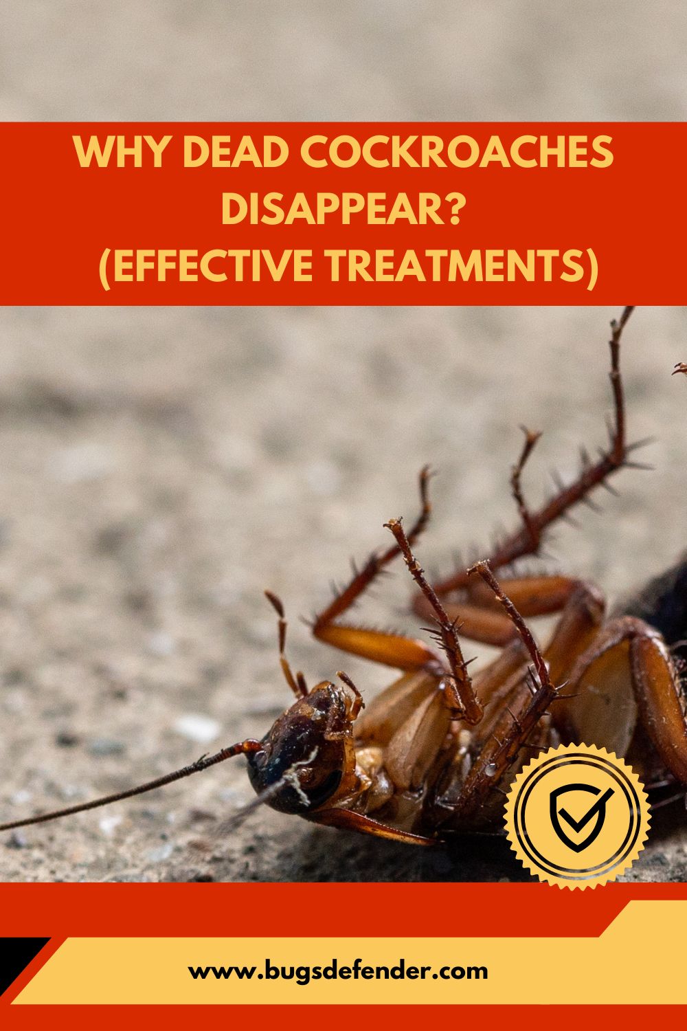 Why Dead Cockroaches Disappear pin1