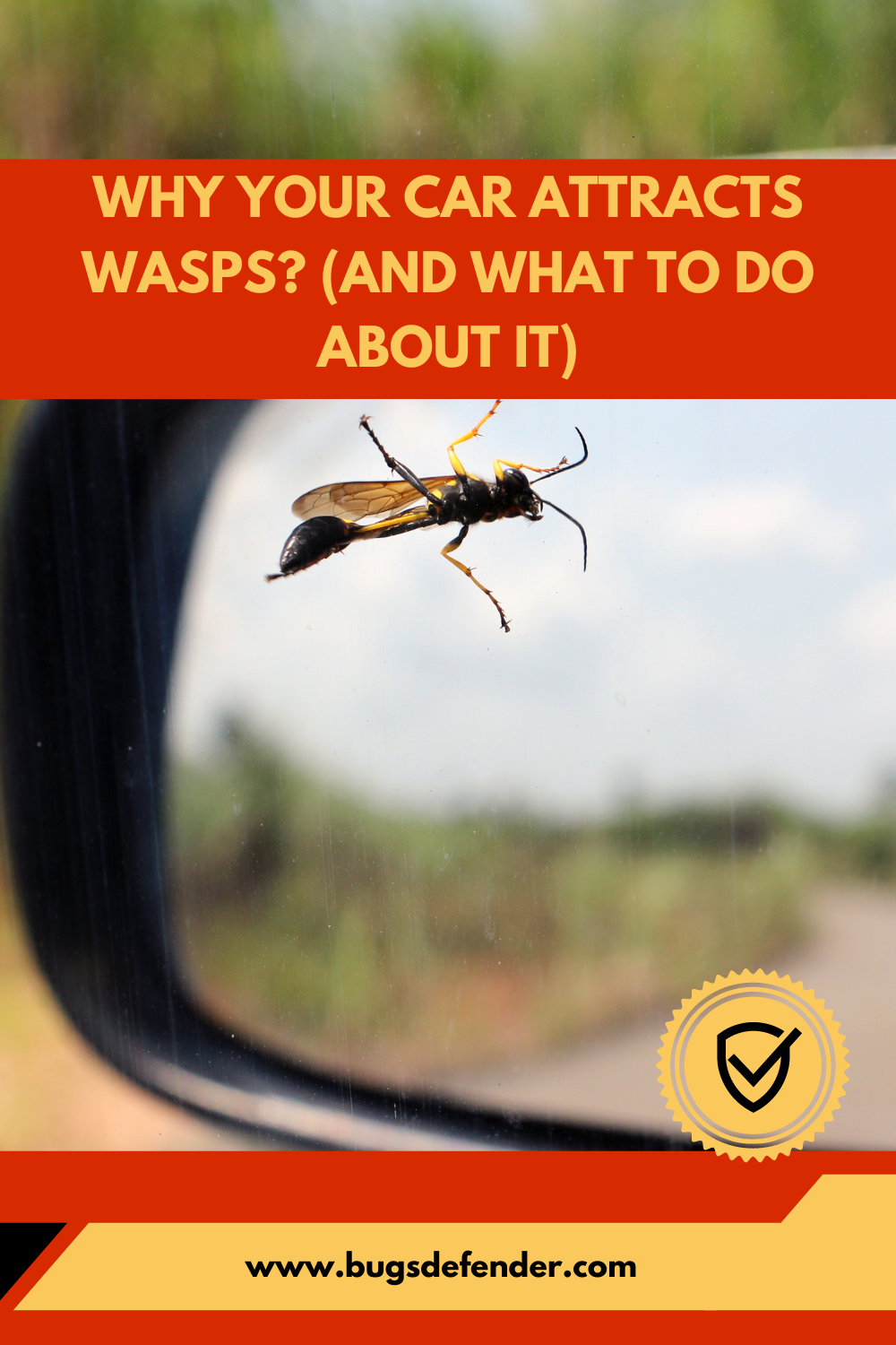 Why Your Car Attracts Wasps pin2