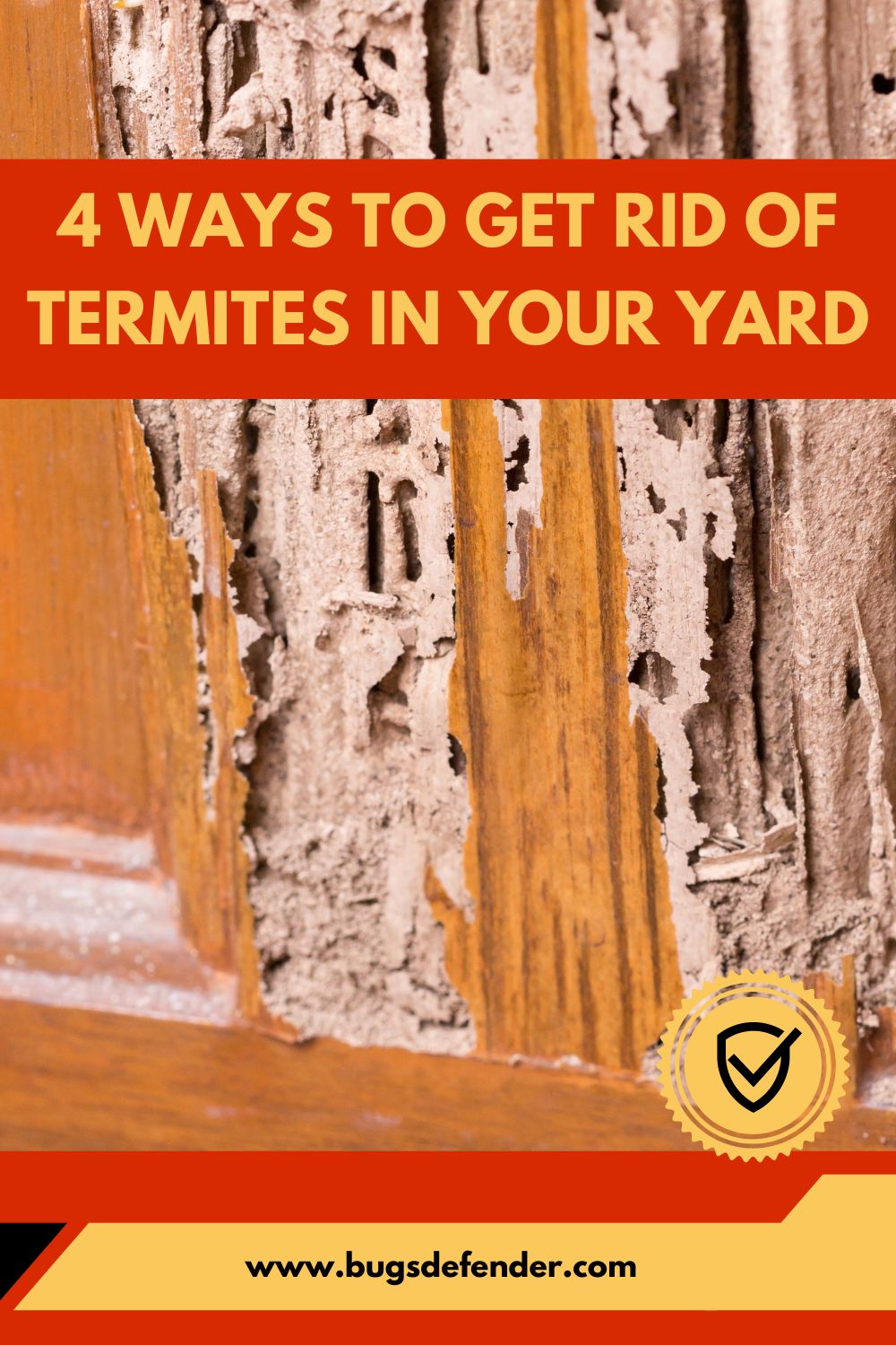 4 Ways to Get Rid of Termites in Your Yard pin2