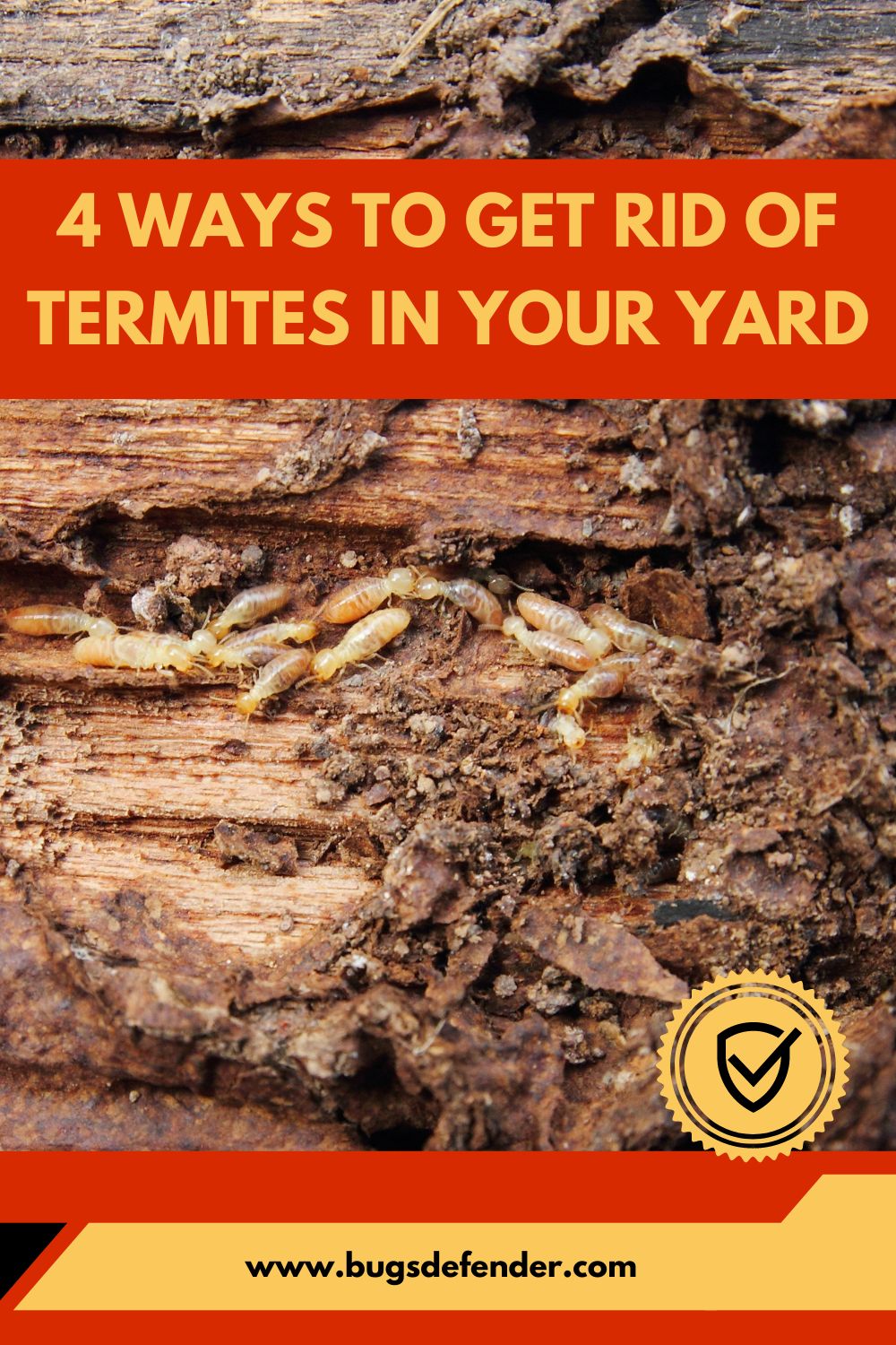 4 Ways to Get Rid of Termites in Your Yard pin3