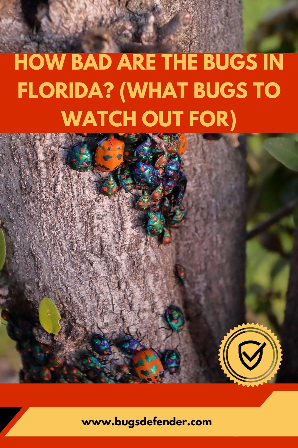 How Bad Are The Bugs In Florida? (What Bugs To Watch Out For) pin 1