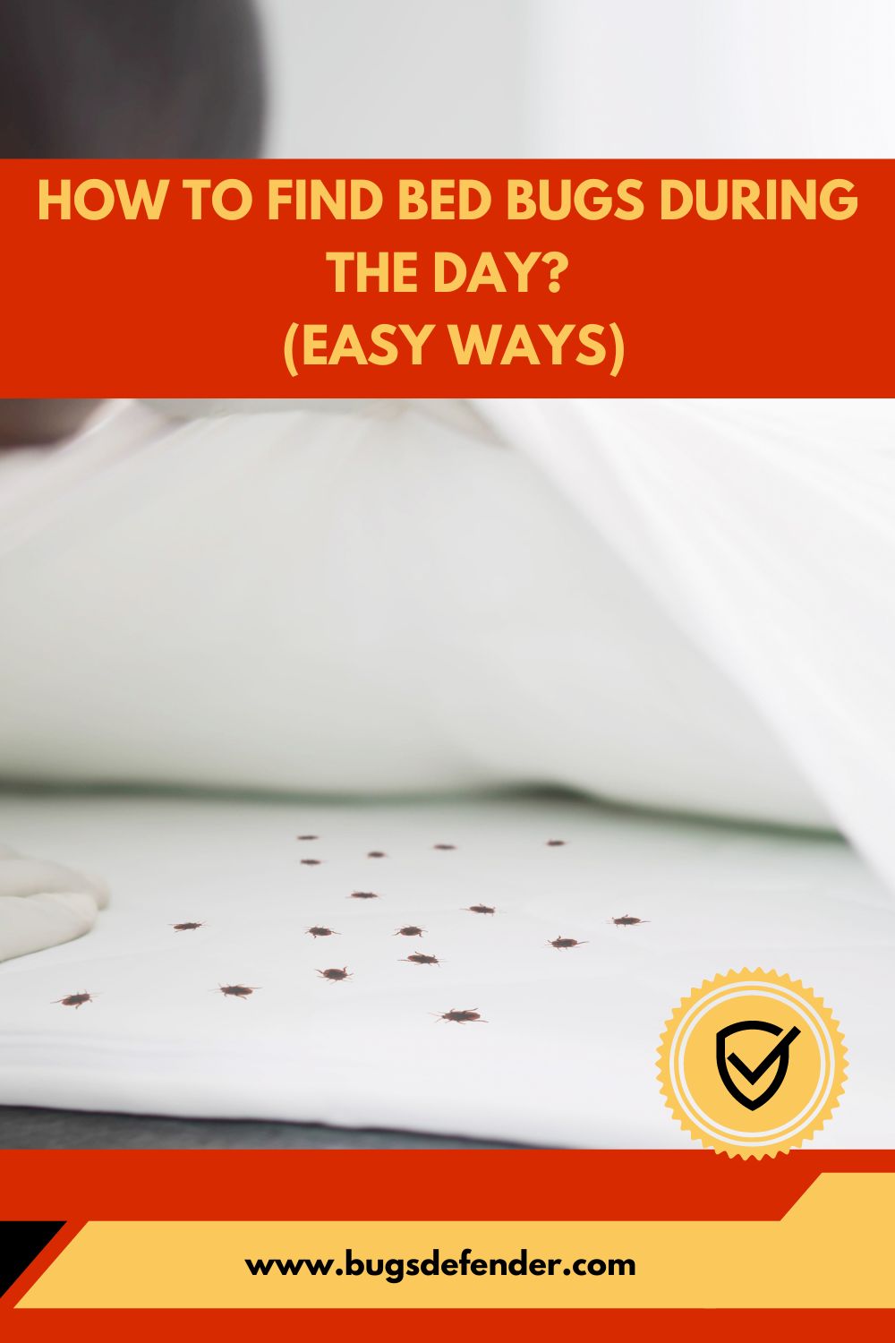 How To Find Bed Bugs During The Day pin1