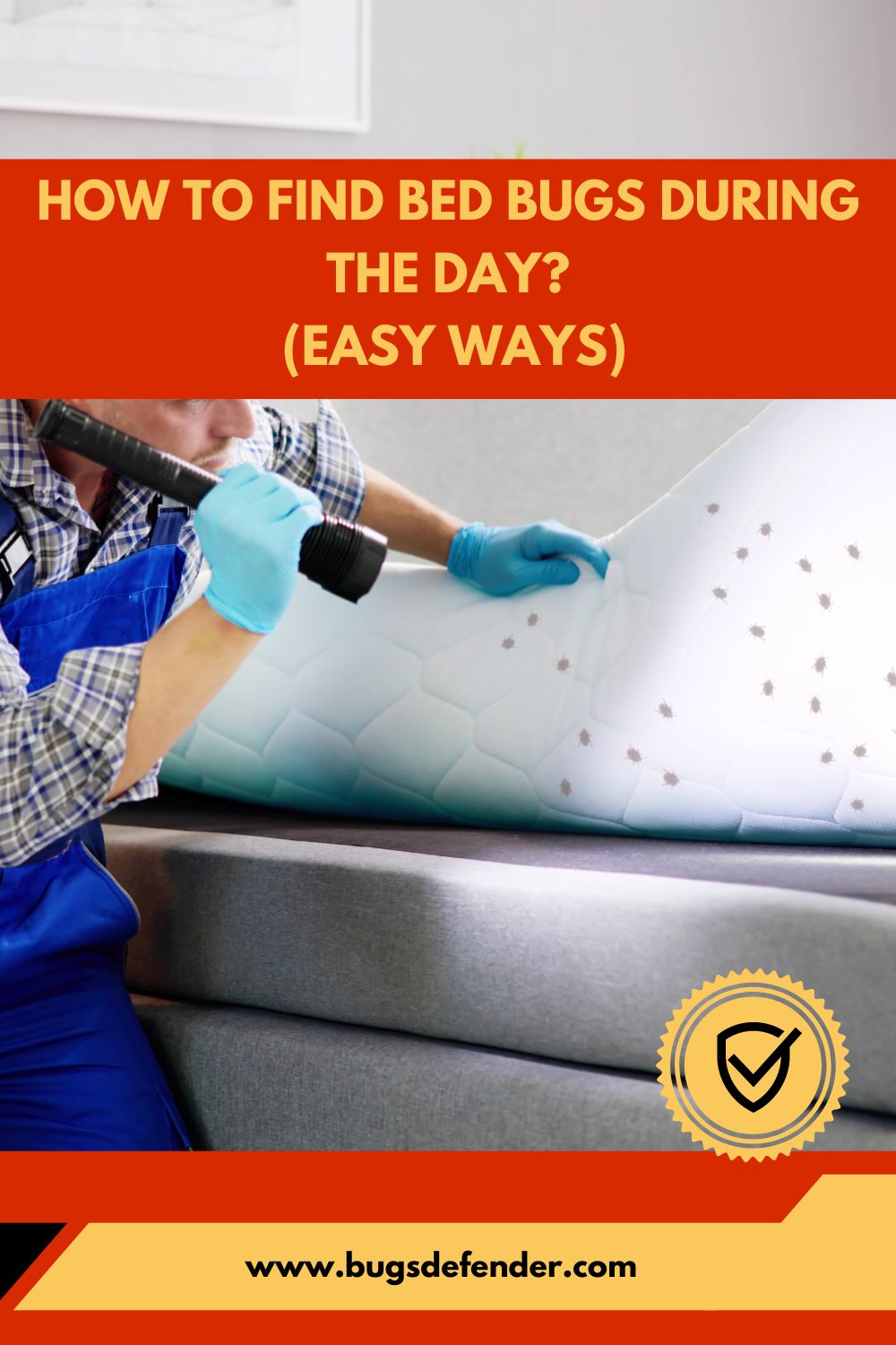 How To Find Bed Bugs During The Day pin2