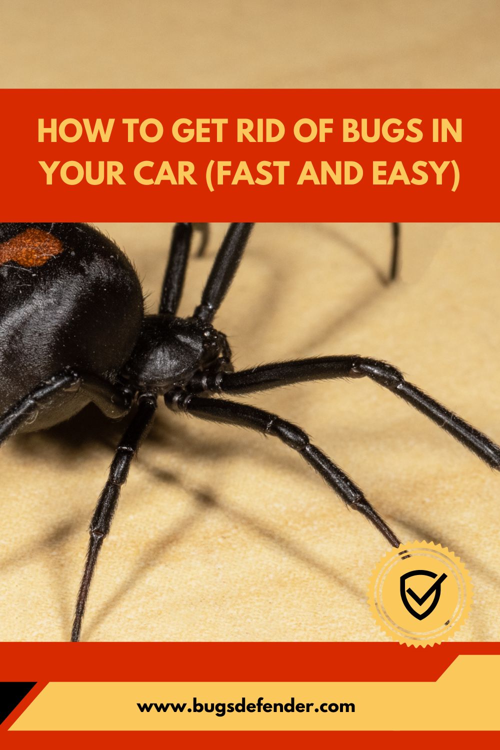 How To Get Rid Of Bugs In Your Car pin1