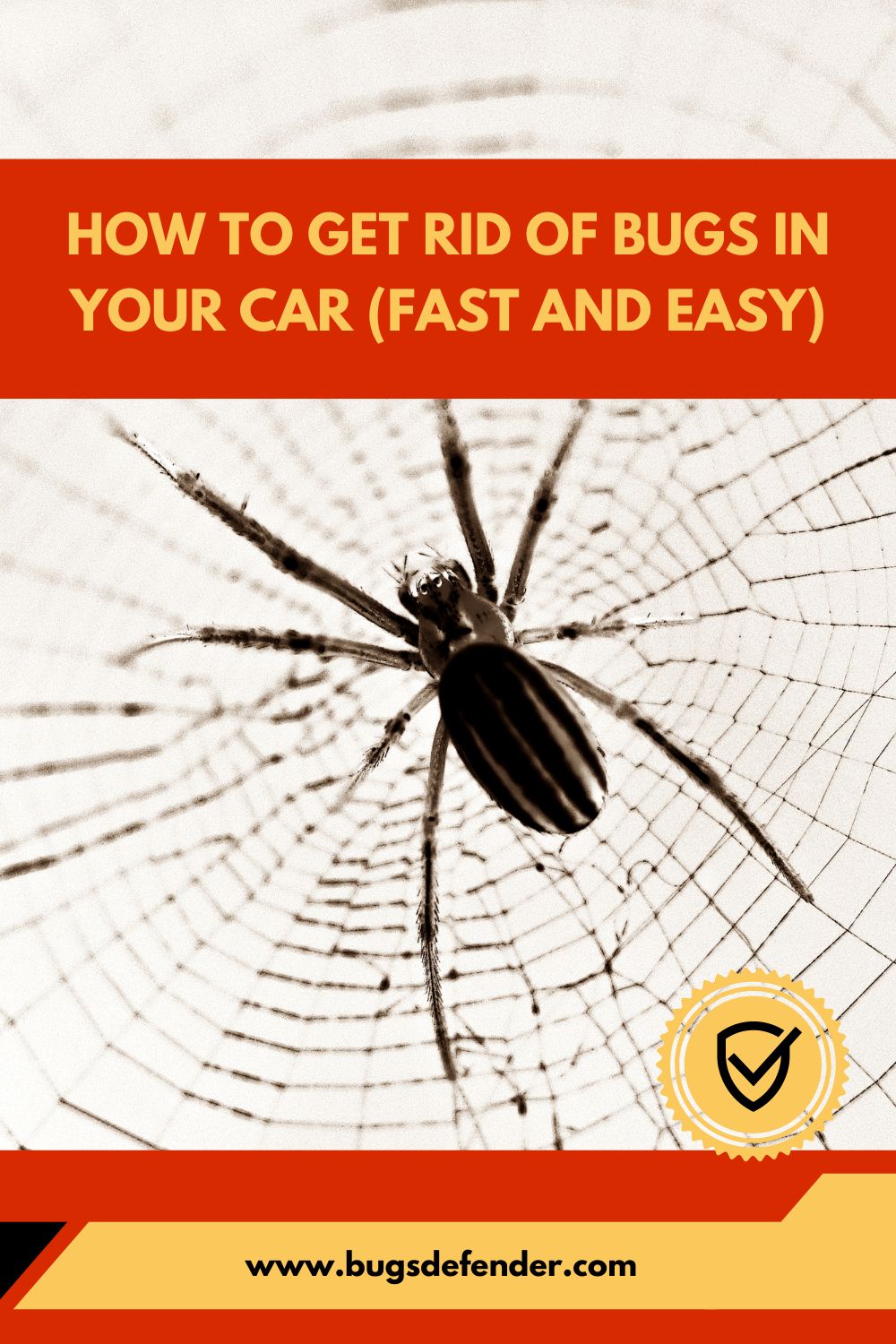How To Get Rid Of Bugs In Your Car pin2