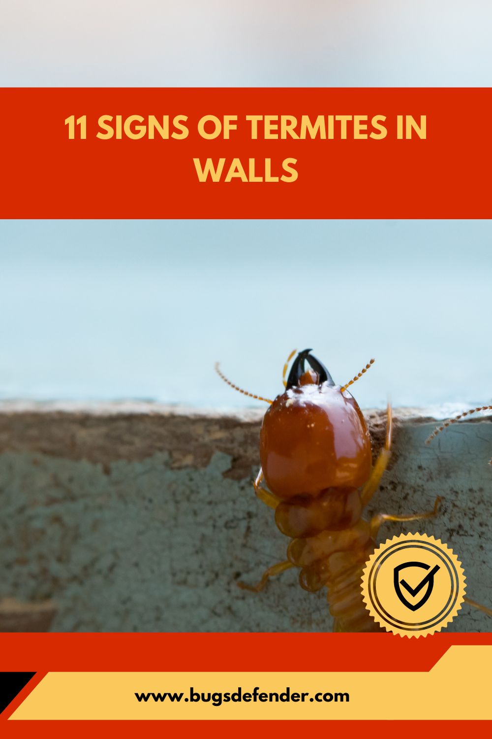 11 Signs of Termites in Walls pin2