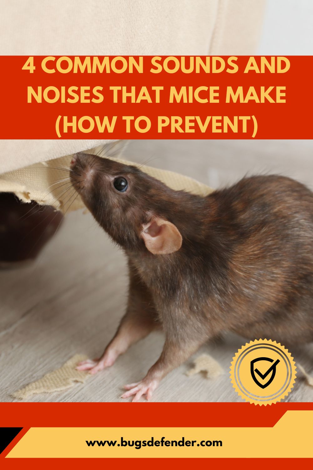 4 Common Sounds and Noises That Mice Make (How to prevent) pin 2