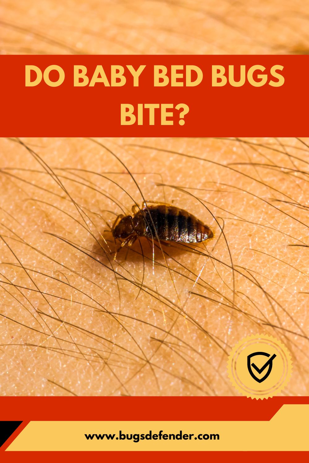Do Baby Bed Bugs Bite? pin2
