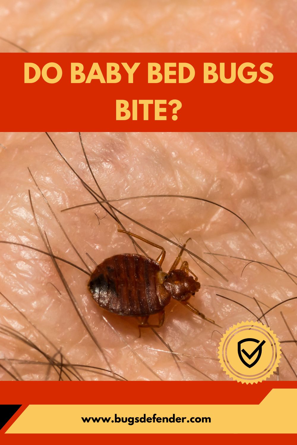 Do Baby Bed Bugs Bite? pin3
