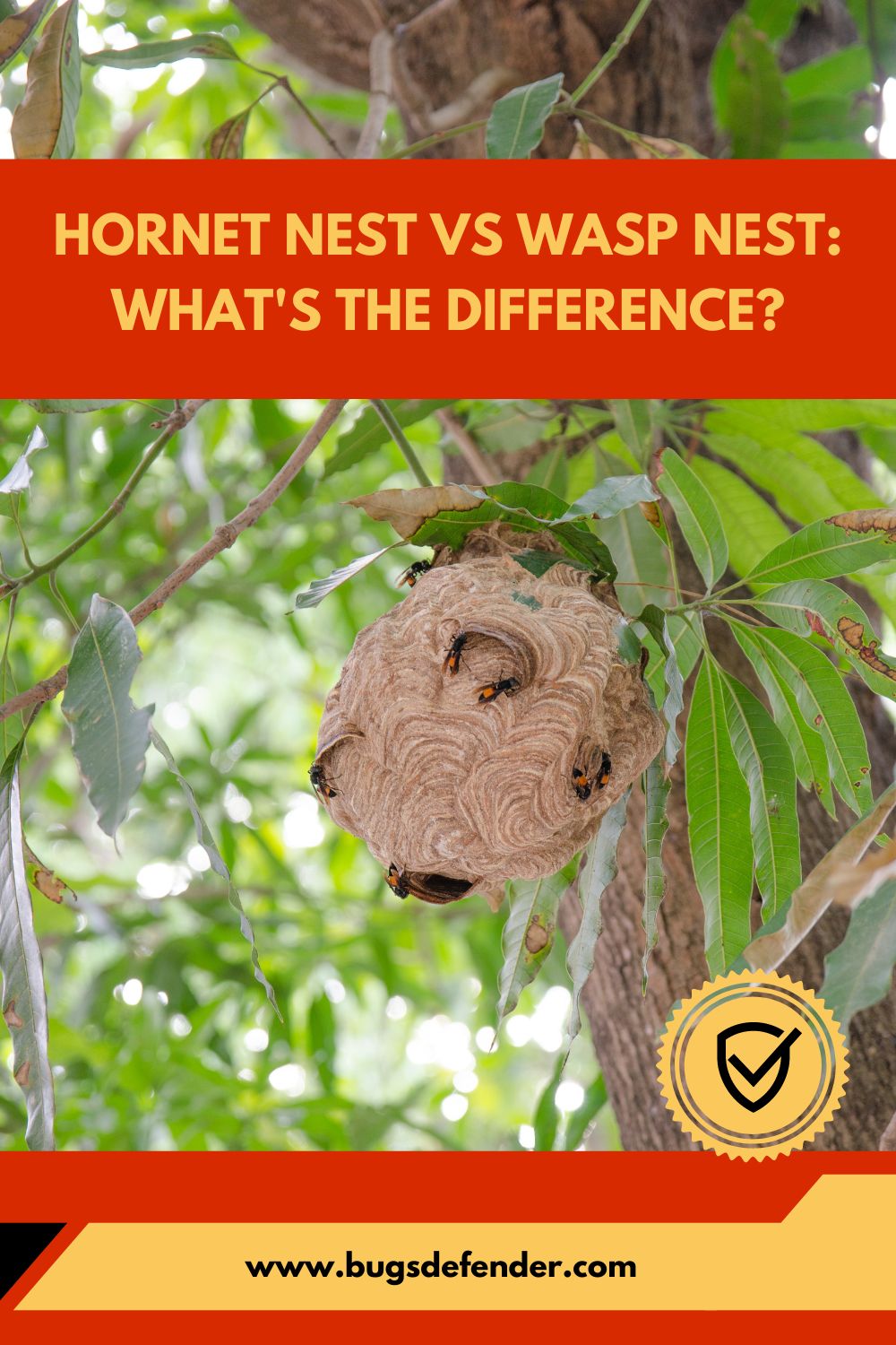 Hornet Nest Vs Wasp Nest pin1