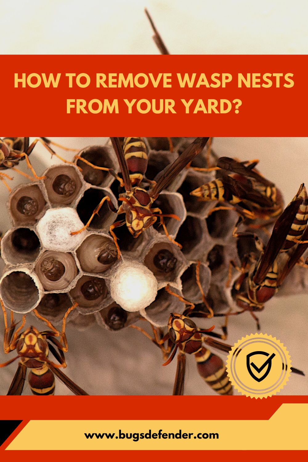 How to Remove Wasp Nests From Your Yard pin1