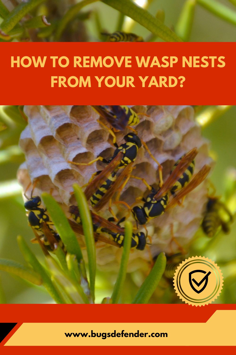 How to Remove Wasp Nests From Your Yard pin2
