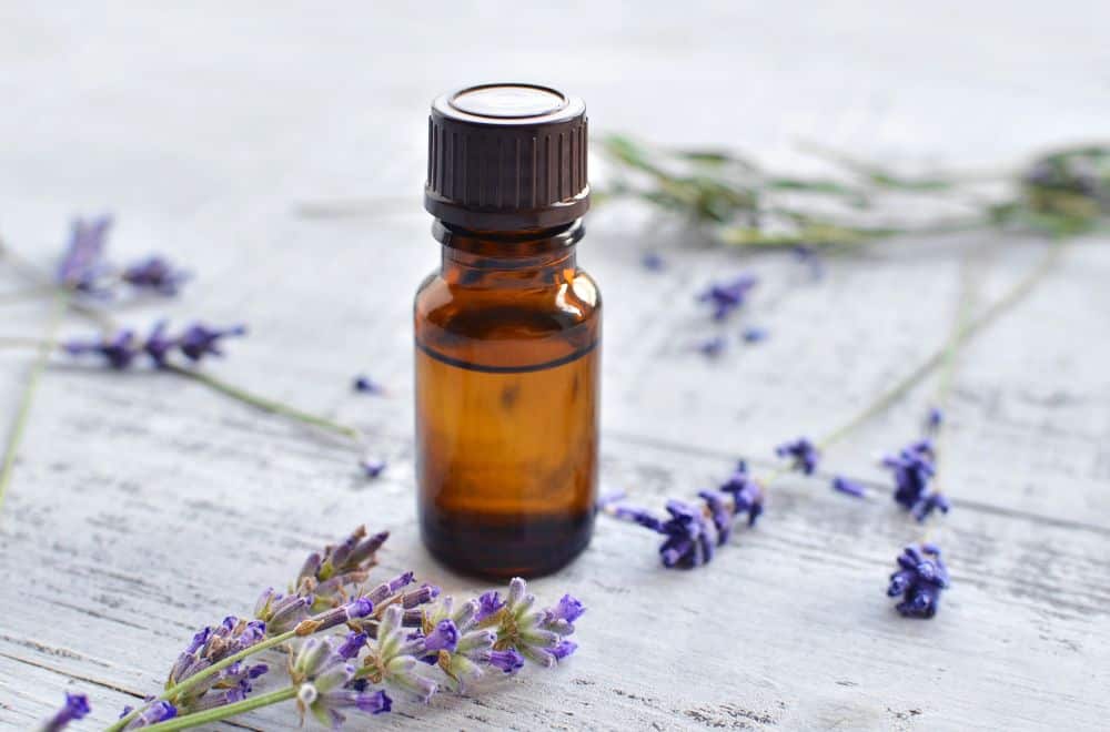 Lavender essential oil 1