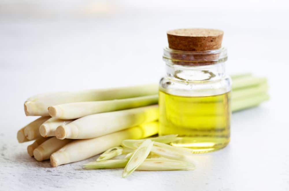 Lemongrass essential oil1