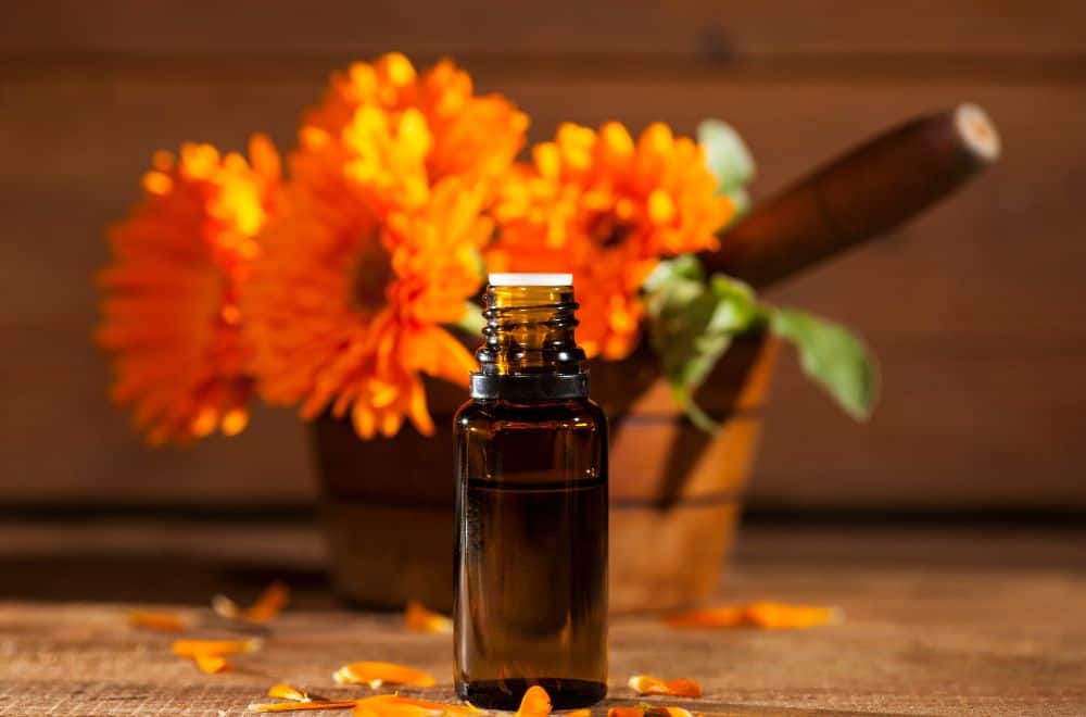 Marigold essential oil 1