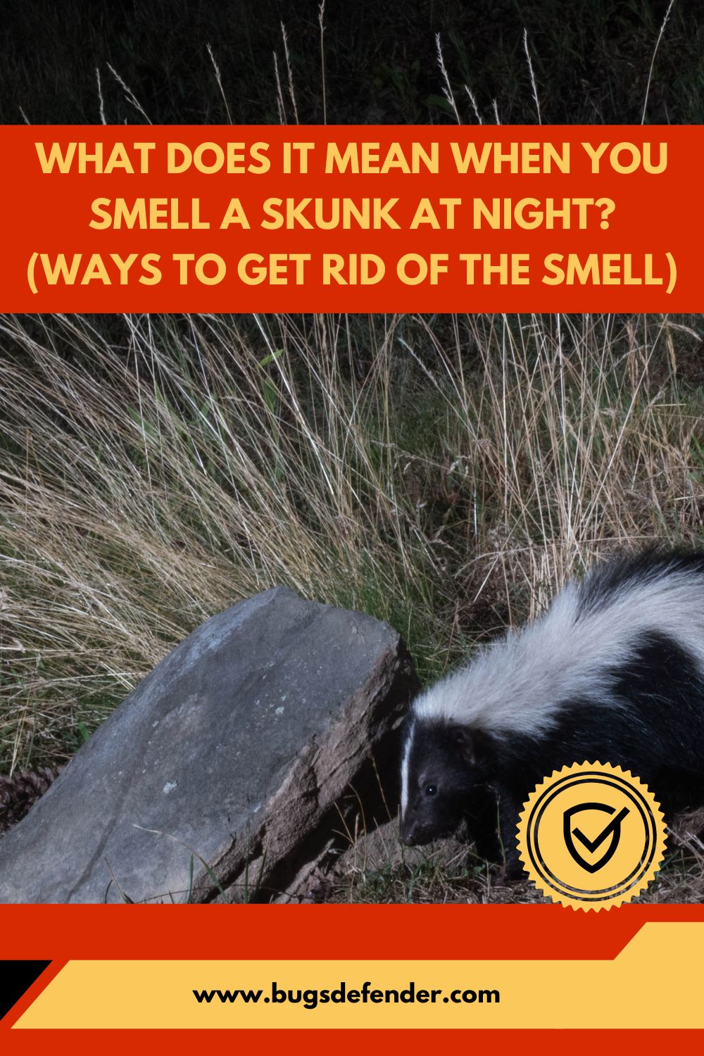 What Does It Mean When You Smell A Skunk At Night? (Ways To Get Rid Of The Smell) pin 1