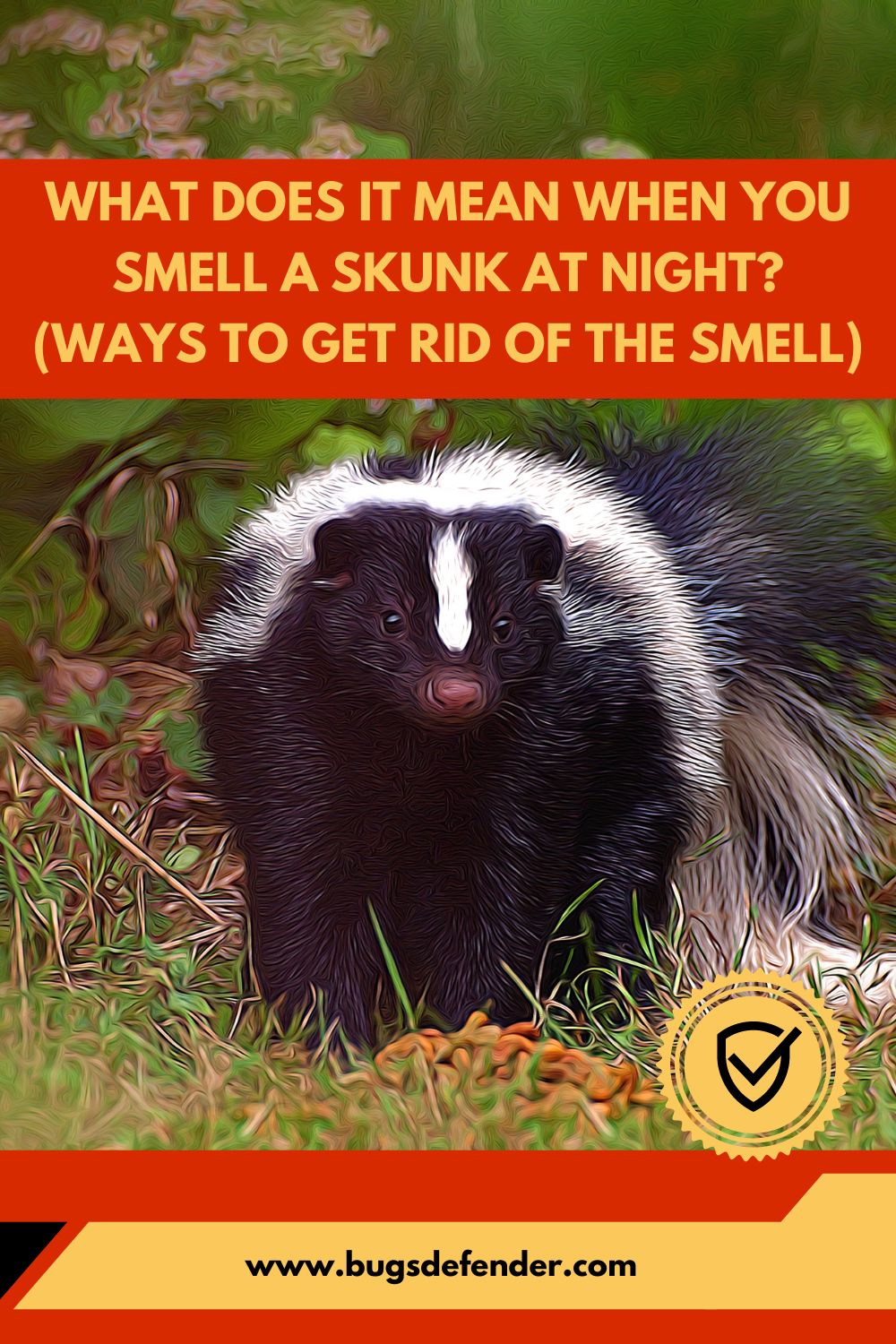 What Does It Mean When You Smell A Skunk At Night? (Ways To Get Rid Of The Smell) pin 2
