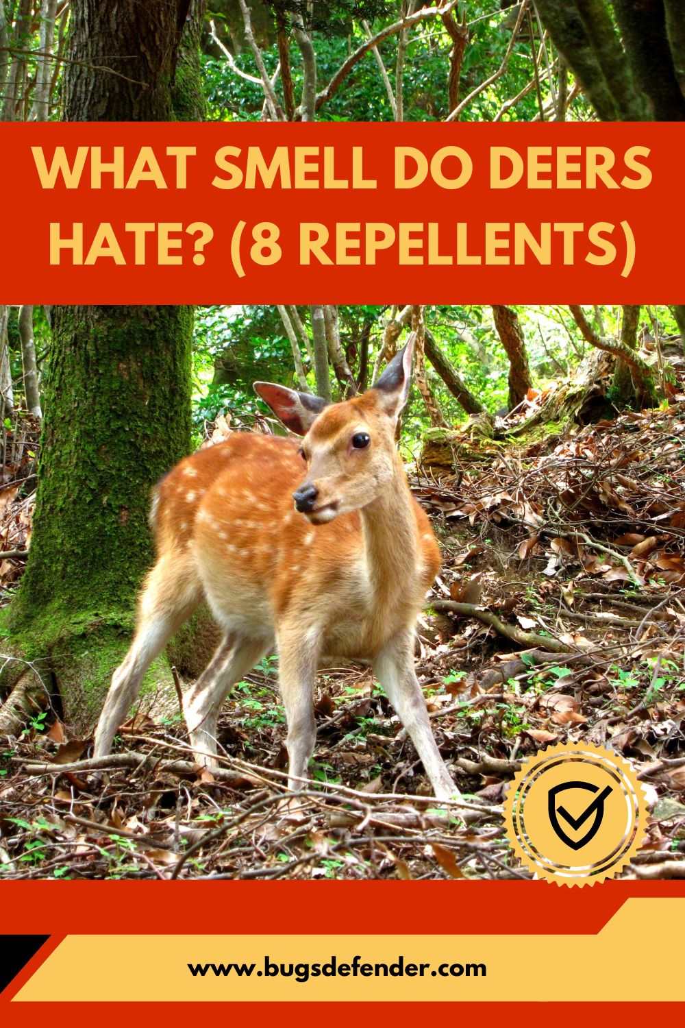 What Smell Do Deers Hate? (8 Repellents) pin2