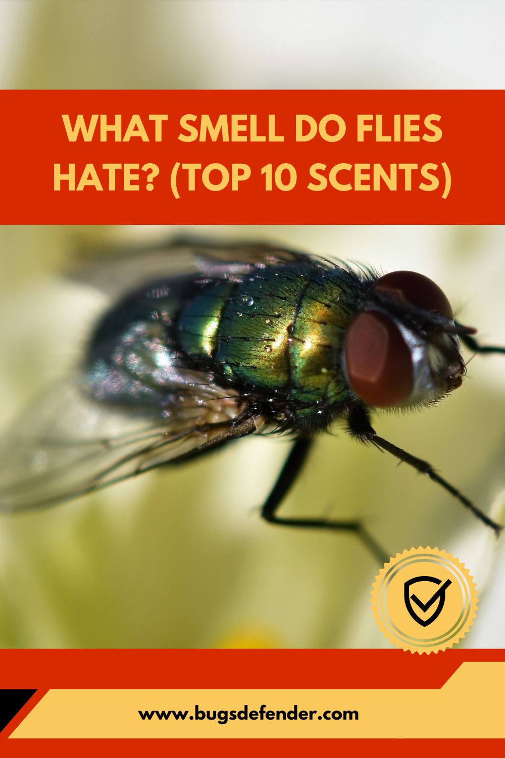What Smell Do Flies Hate pin1