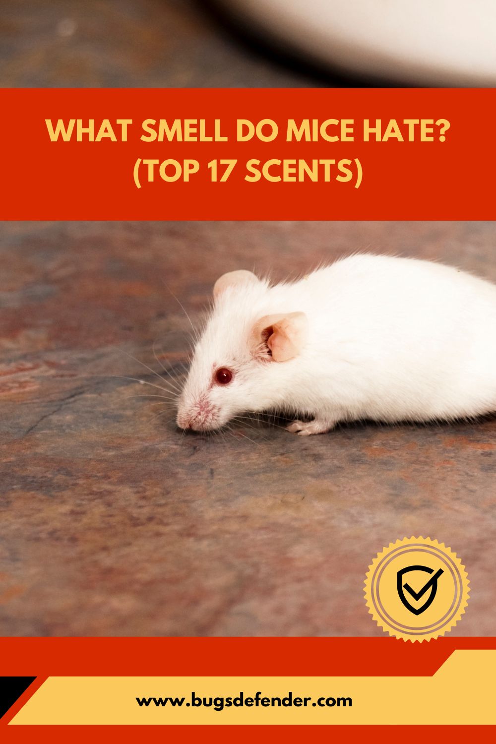 What Smell Do Mice Hate (Top 17 Scents) pin1
