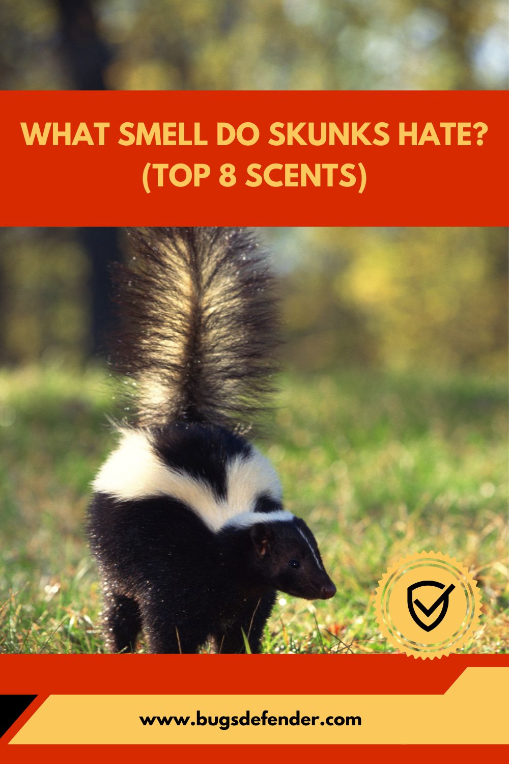What Smell Do Skunks Hate (Top 8 Scents)pin1